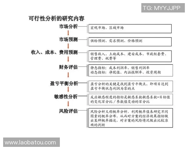 深圳羽毛球队个人能力分析与表现评估研究报告